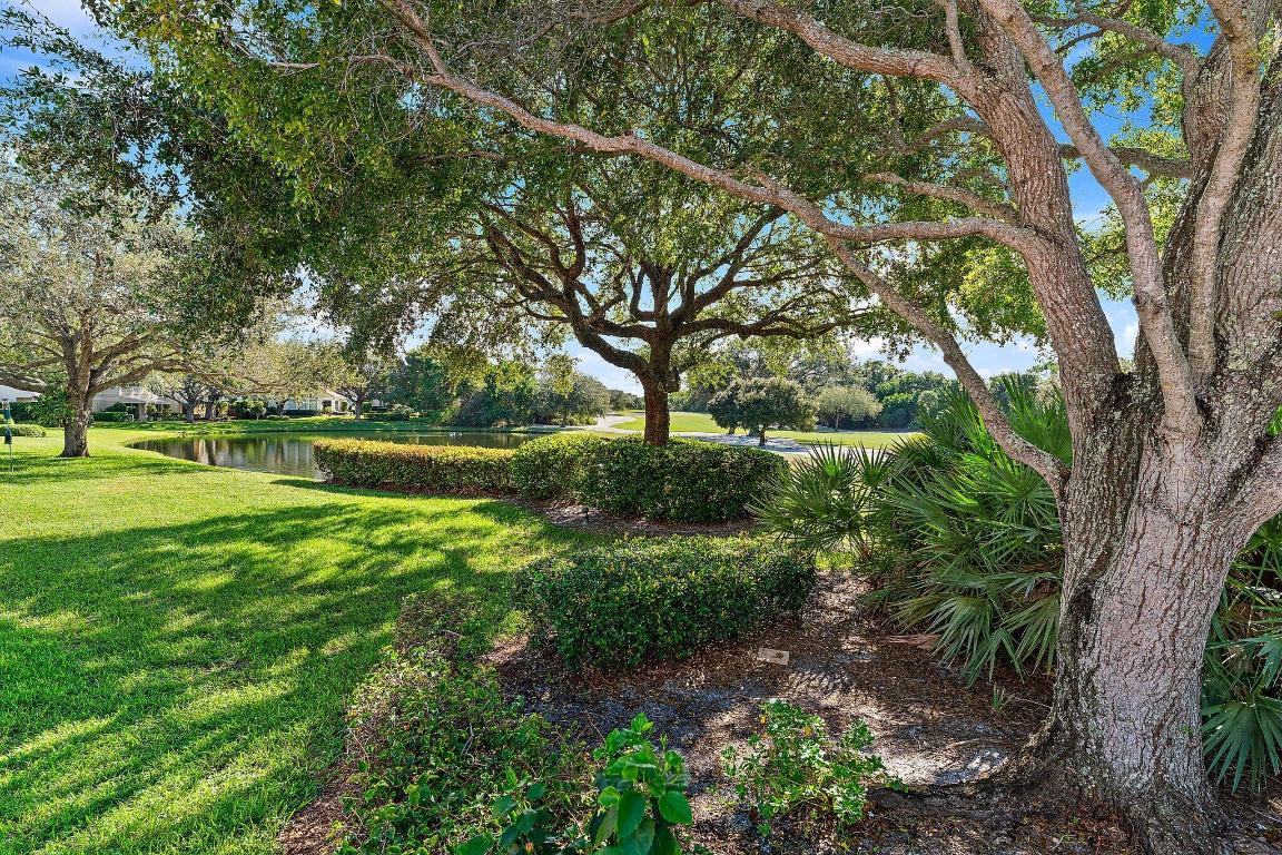 JUPITER HILLS VILLAGE - Residential