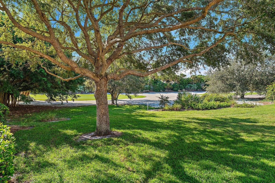 JUPITER HILLS VILLAGE - Residential