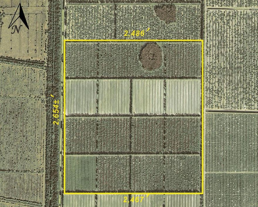 This parcel is located in the Orange Avenue Citrus Growers Association, an organization devoted to the citrus industry. The association provides water control and road improvement & maintenance within its boundaries.  There is an annual fee of $85/ac for these services. Additionally, currently there is a Special Assessment Fee of $30/ac annually.
Diesel Pump Microjet Irrigation System.  Capacity: 145 - 175 trees/ac in 2 zones.      
Artesian Well north of Pump.
USDA Tree Assistance Program, TAP, available for clearing and cost of replacement trees.
Blocks 17 B, C, & D, 18 & 20 = 85ac to be cleared.  126ac PLANTABLE acres. 
This is NOT a development parcel!