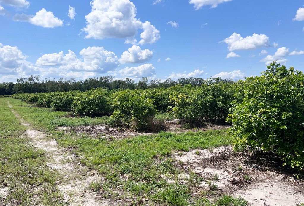 Photo of Tbd Orange Avenue Extension, Fort Pierce, FL 34945 (MLS # R11086297)
