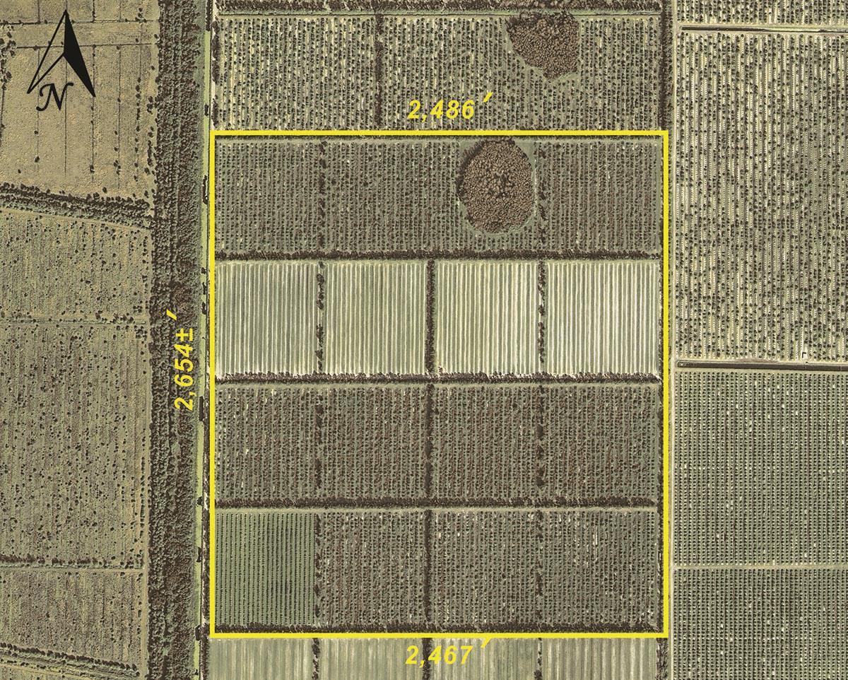 This parcel is located in the Orange Avenue Citrus Growers Association, an organization devoted to the citrus industry. The association provides water control and road improvement & maintenance within its boundaries. There is an annual fee of $85/ac for these services. Additionally, currently there is a Special Assessment Fee of $30/ac annually.Diesel Pump Microjet Irrigation System. Capacity: 145 - 175 trees/ac in 2 zones. Artesian Well north of Pump.USDA Tree Assistance Program, TAP, available for clearing and cost of replacement trees.Blocks 17 B, C, & D, 18 & 20 = 85ac to be cleared. 126ac PLANTABLE acres. This is NOT a development parcel!