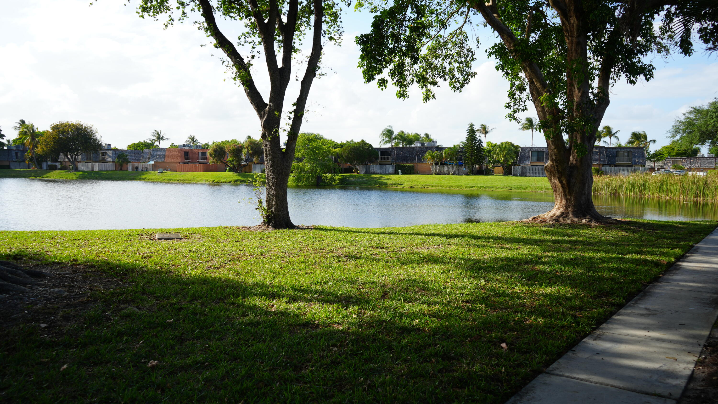 273 Arabian Road 273