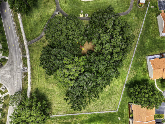 Forest Lake - Residential