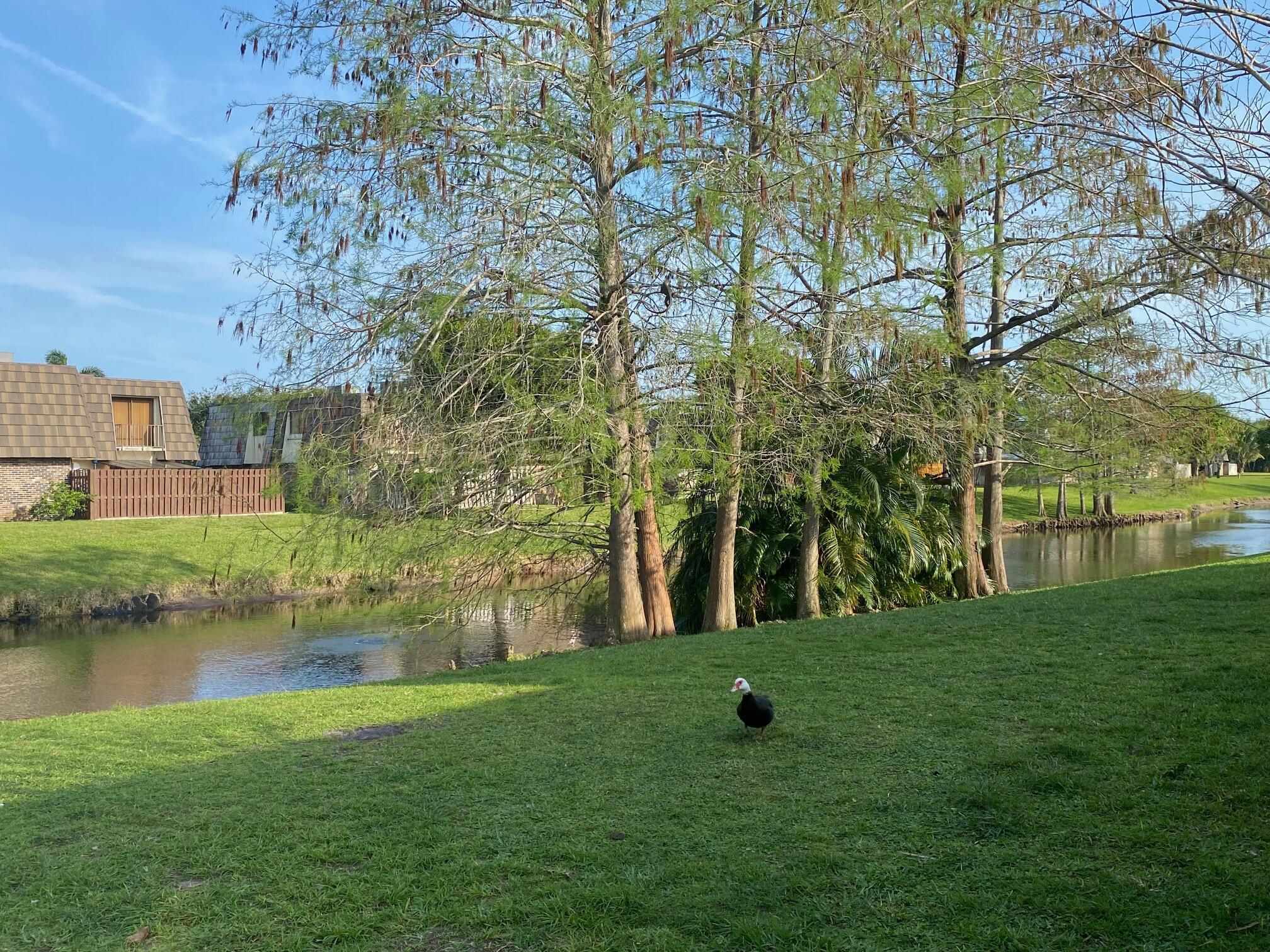 FOREST LAKES - Residential Lease
