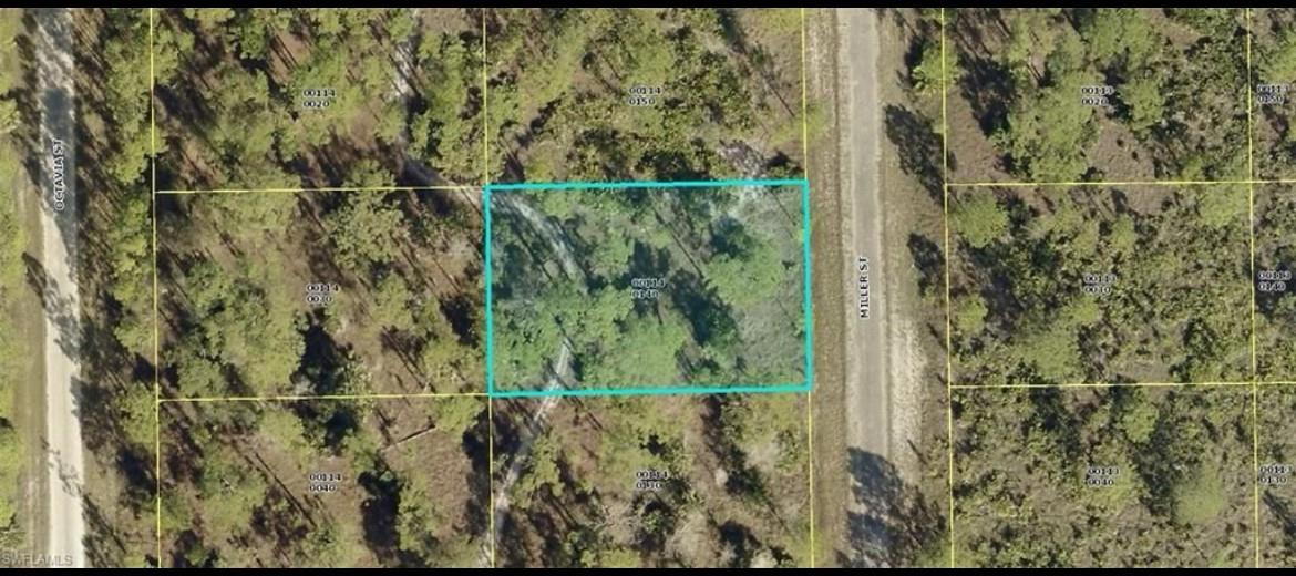 Great development opportunity. Build your dream home here at affordable price or hold for investment. Tax rate and insurance in Lehigh is affordable CALL TODAY