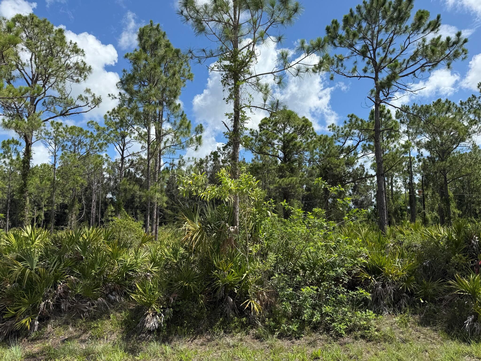 Must see!! Beautiful vacant land waiting for you to build your dream home. This lot in the desirable city of Punta Gorda benefits from its prime location, offering easy access to an array of amenities and attractions. Enjoy the beaches and fishing nearby in Charlotte Harbor and the Gulf of Mexico. Rare opportunity here if you can visualize what it could be! Don't let this one get away whether you build your dream home or just invest for your future.