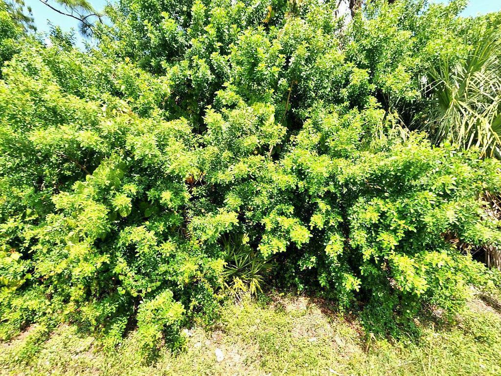 Photo of Tbd Rosarita Avenue, Fort Pierce, FL 34946 (MLS # R10868786)