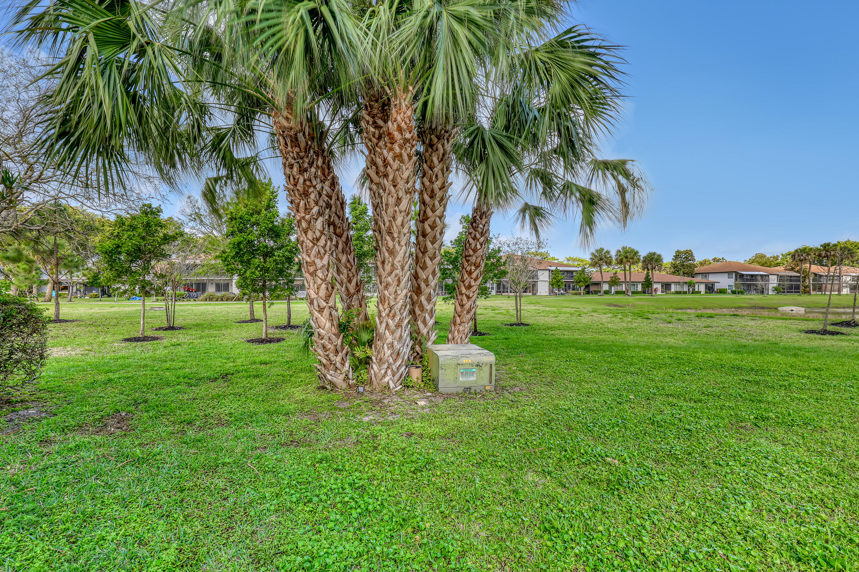 PALM GREENS AT VILLA DEL RAY CONDO - Residential