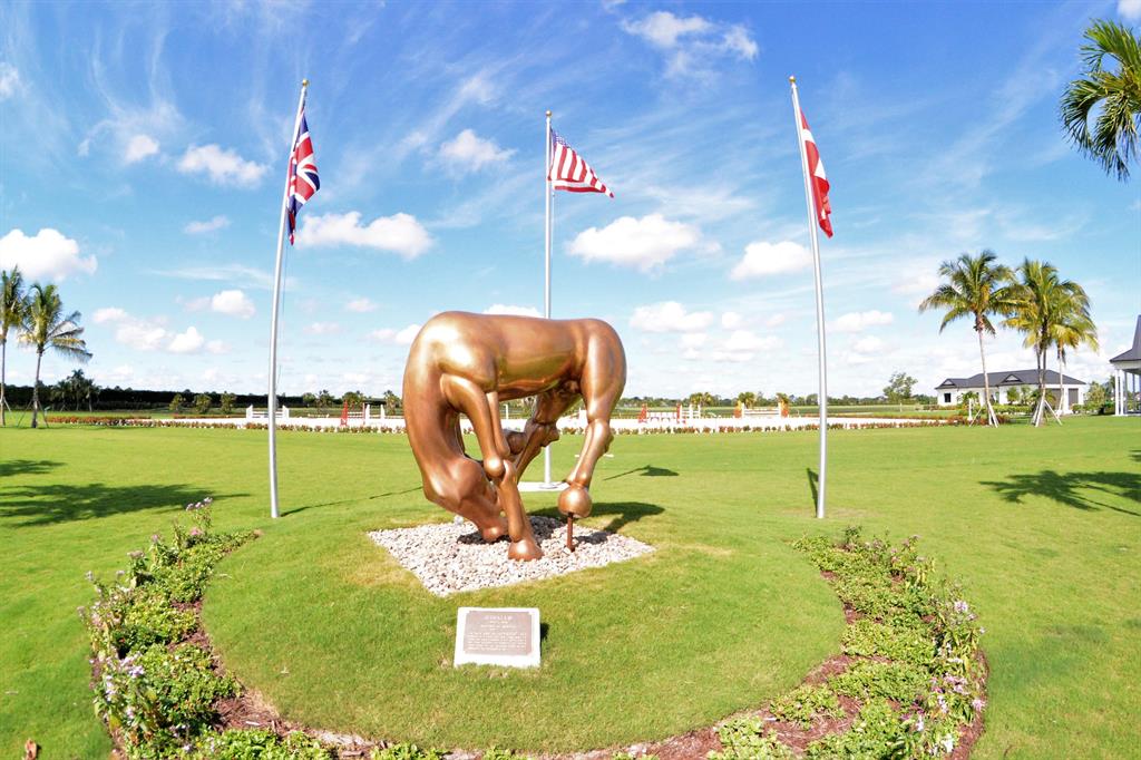 WELLINGTON PRESERVE - Residential