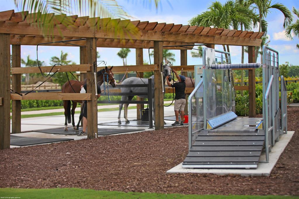 WELLINGTON PRESERVE - Residential