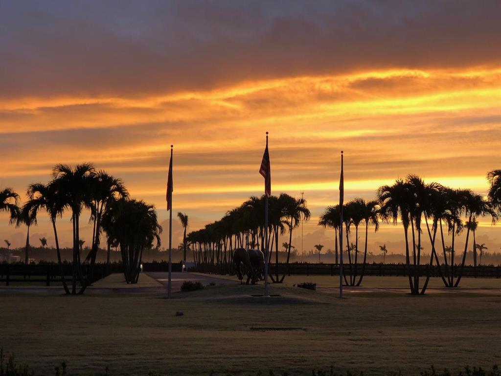 WELLINGTON PRESERVE - Residential