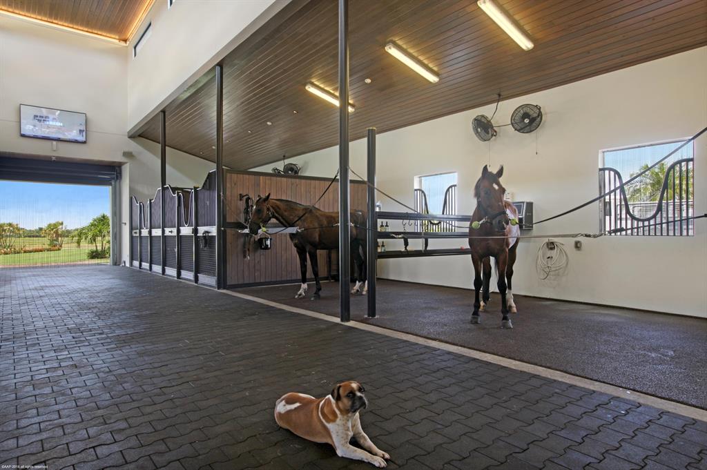 WELLINGTON PRESERVE - Residential