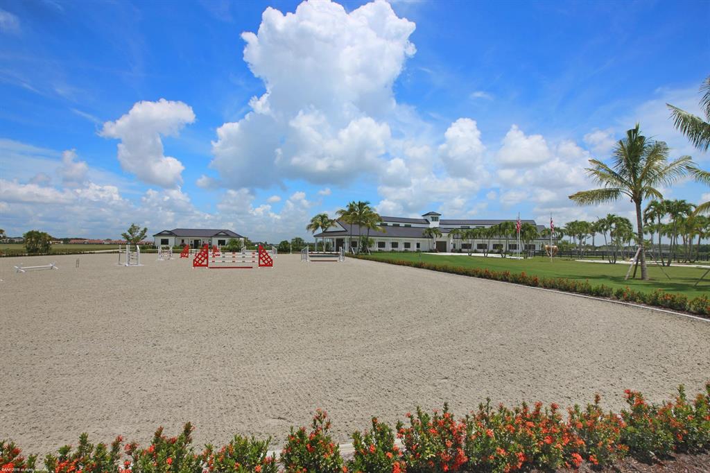 WELLINGTON PRESERVE - Residential