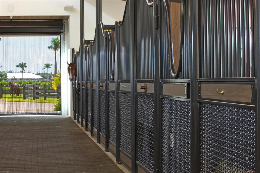 WELLINGTON PRESERVE - Residential