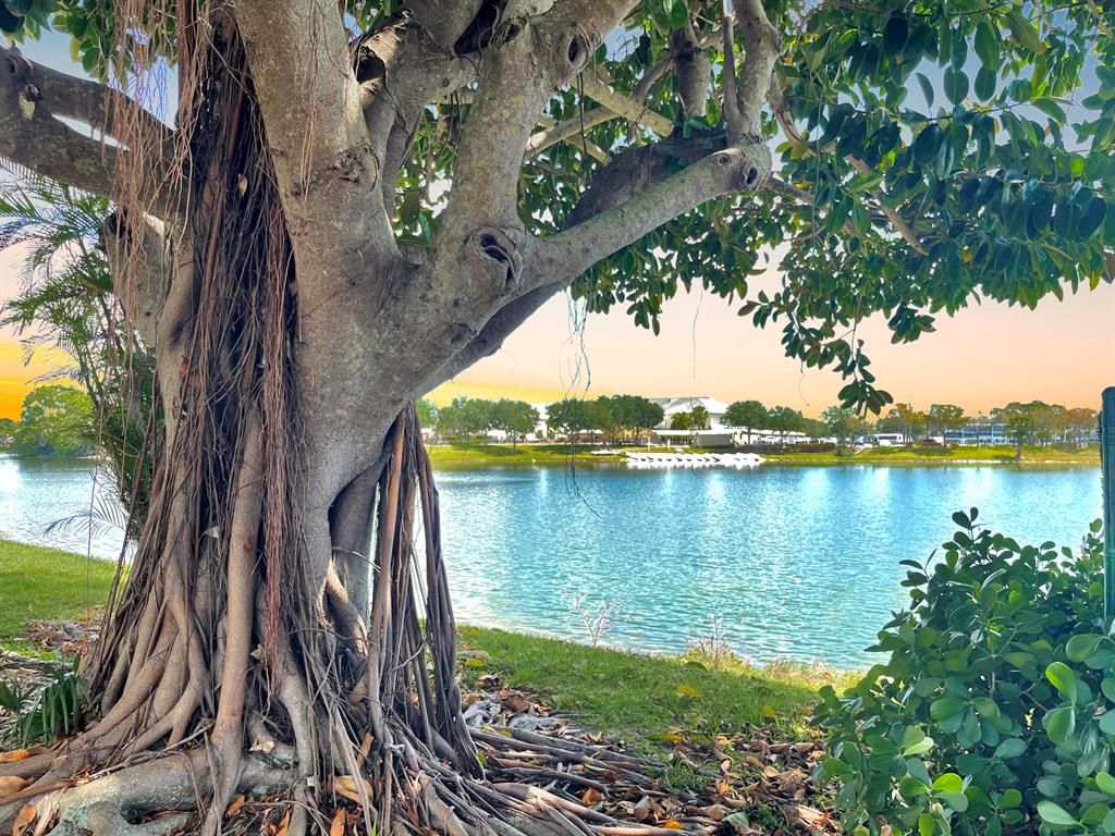 Photo of 141 Coventry F, West Palm Beach, FL 33417 (MLS # R10753829)