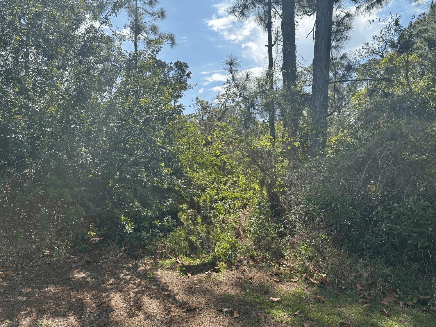 Lake Placid, FL building lot with only $1,500k down. Owner Financing