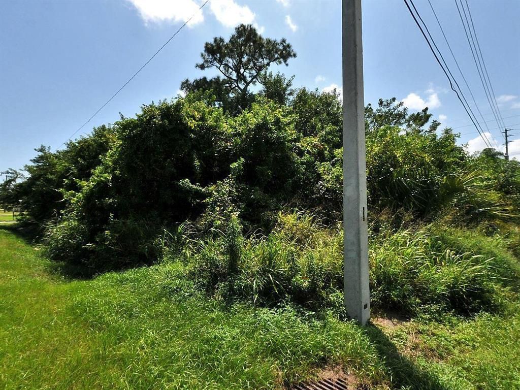 Photo of Tbd Barcelona Avenue, Fort Pierce, FL 34946 (MLS # R10721943)