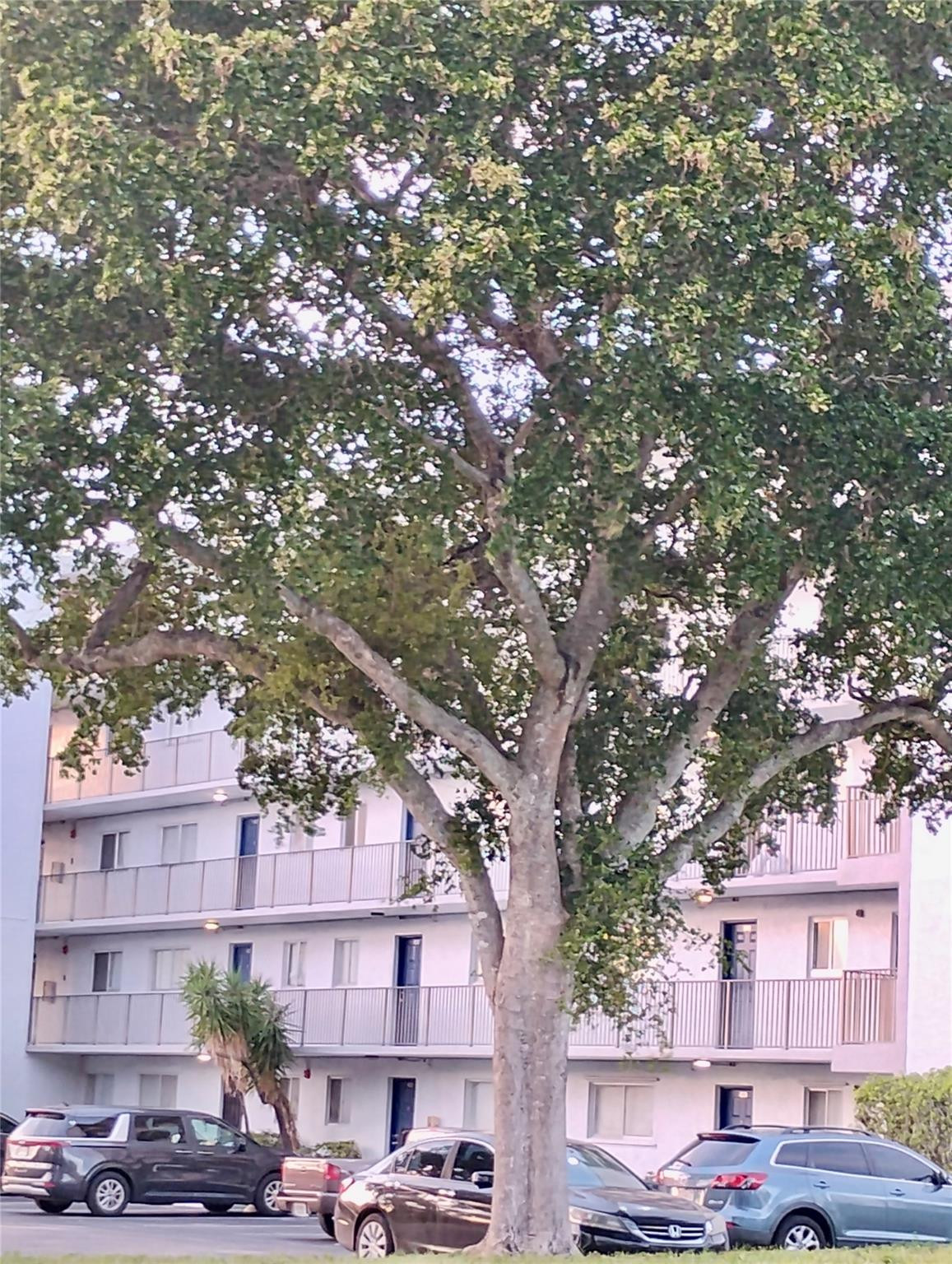 LAKESHORE AT UNIVERSITY - Residential