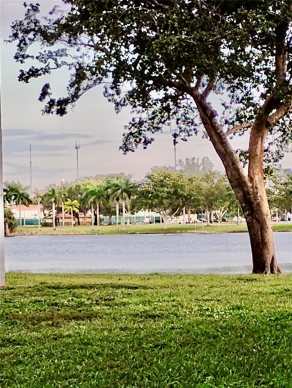 LAKESHORE AT UNIVERSITY - Residential