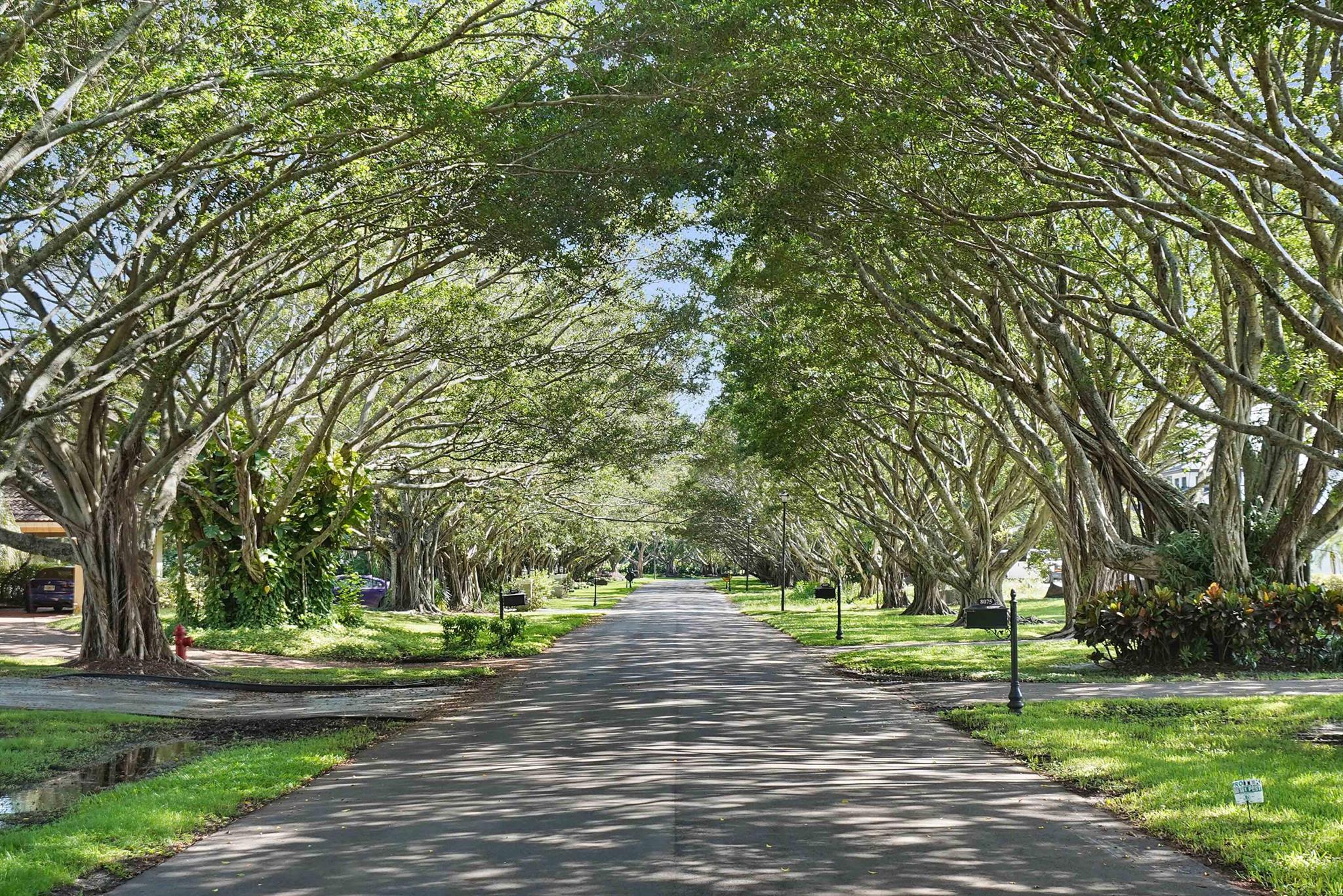 LONG LAKE ESTATES - Residential