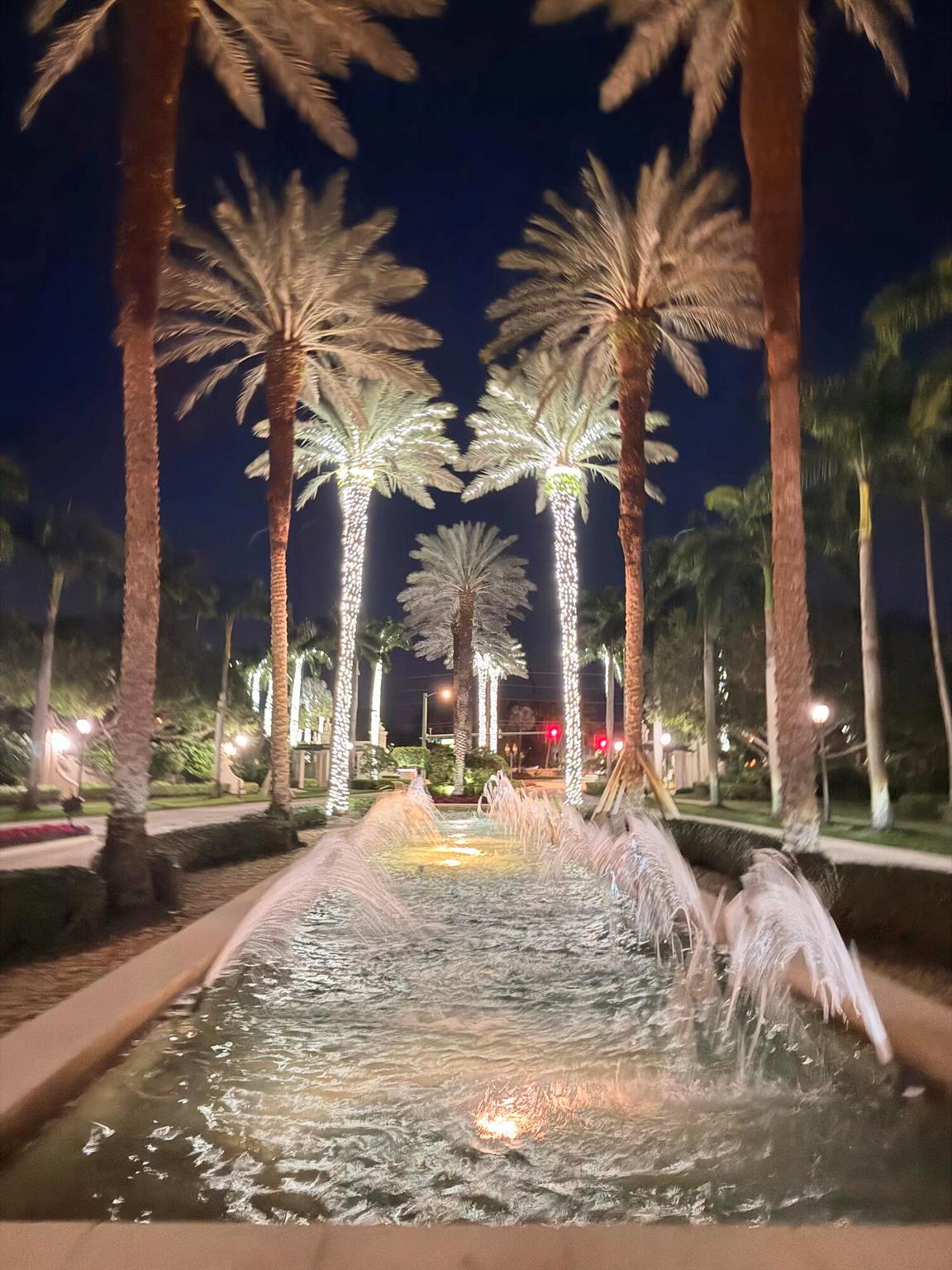 VALENCIA PALMS - Residential