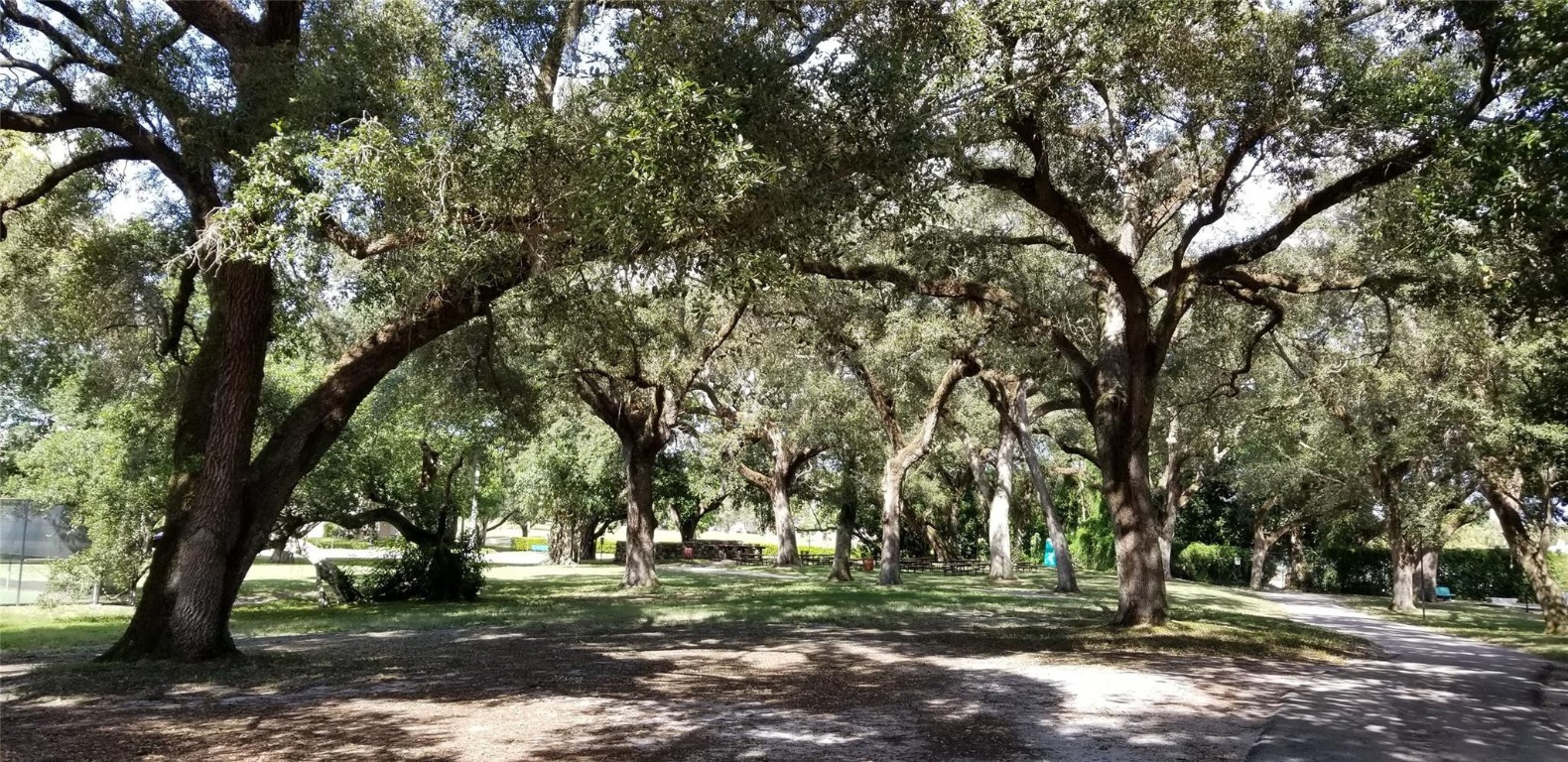 Live Oak Place - Residential