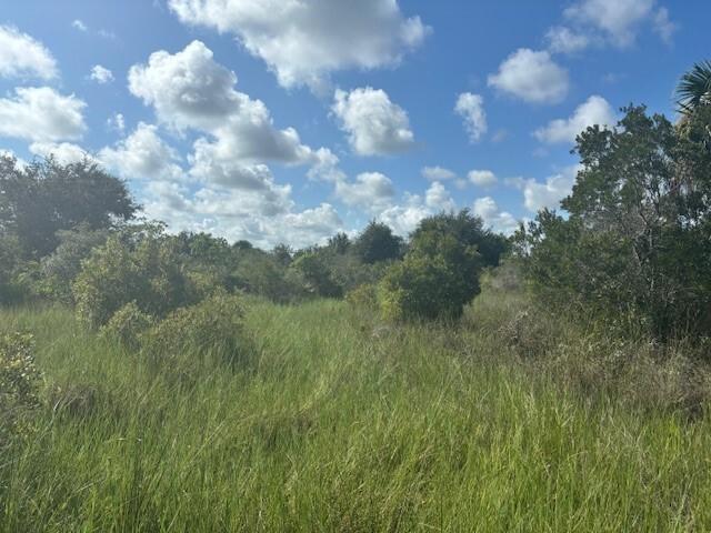 VK1074 The Viking Estates - Land