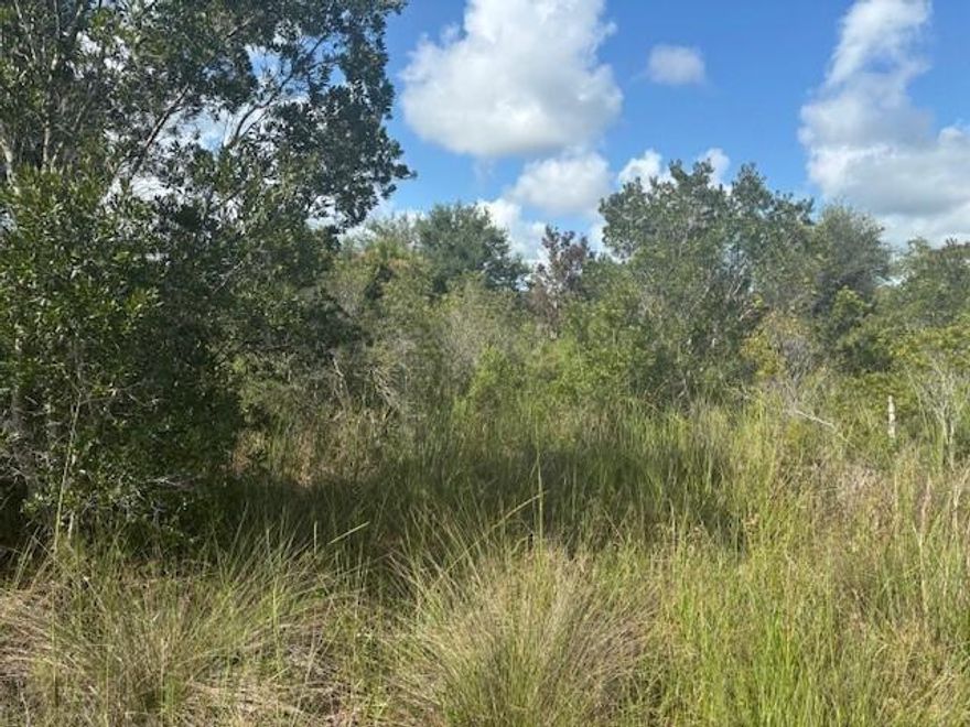 1.25 acre lot in Viking Estates. Close to the Kissimmee Prairie State Park. Bring your 4 -wheelers. This property is not only ideal for recreational uses such has camping, hunting and shooting, but it’s agricultural as well.
Owner financing available