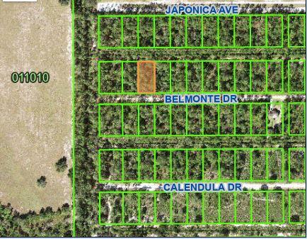 This half acre, beautiful, treed lot has just recently been cleared. It is located in Indian Lake Estates, a golfing, fishing and boating community in the center of Florida, about 20 miles east of Lake Wales. The community surrounds the 7,500 acre lake locally known as Lake Walk In Water, known for its fishing and considered to be one of the best bass fishing lakes in all of Florida. The lake has a beach, boat ramp, boat marina and the longest freshwater Fishing pier in the State of Florida. The pavilion is located at the front of the pier and is complete with propane grills and covered picnic tables. The community amenities include an 18-hole golf course, basketball and tennis court, clubhouse & more!