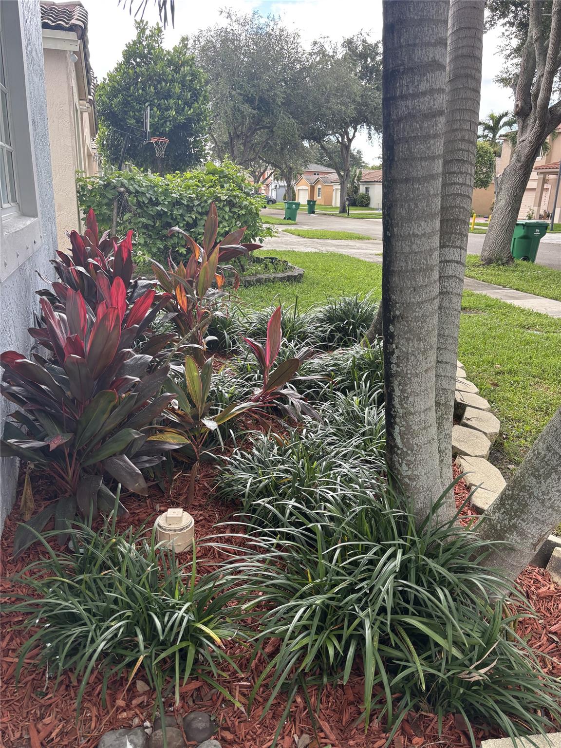 AVALON-CENTEX-REPLAT OF - Residential