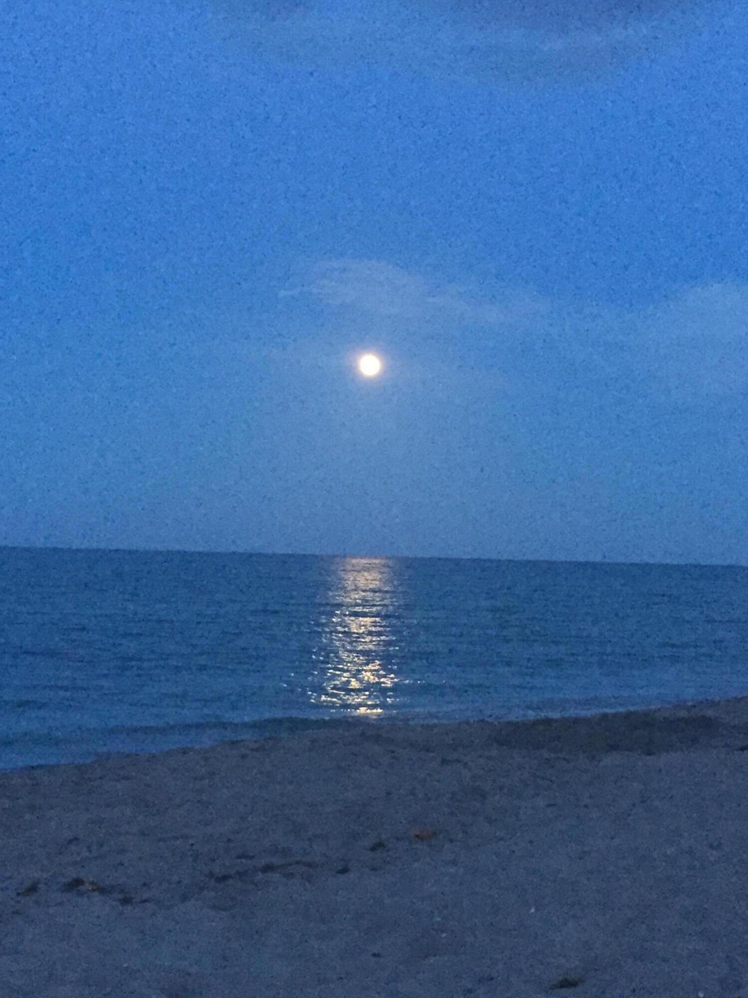 PINECROFT CONDO - Residential