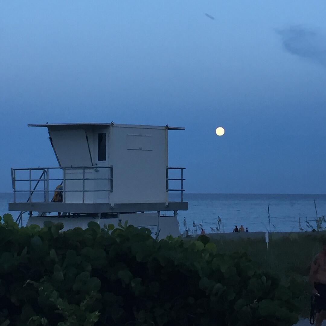 PINECROFT CONDO - Residential