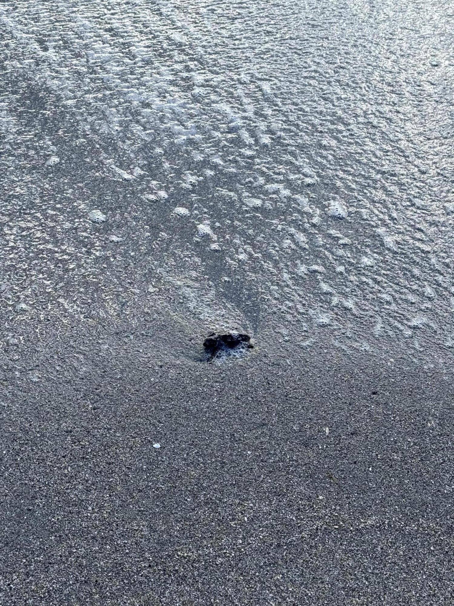 PINECROFT CONDO - Residential