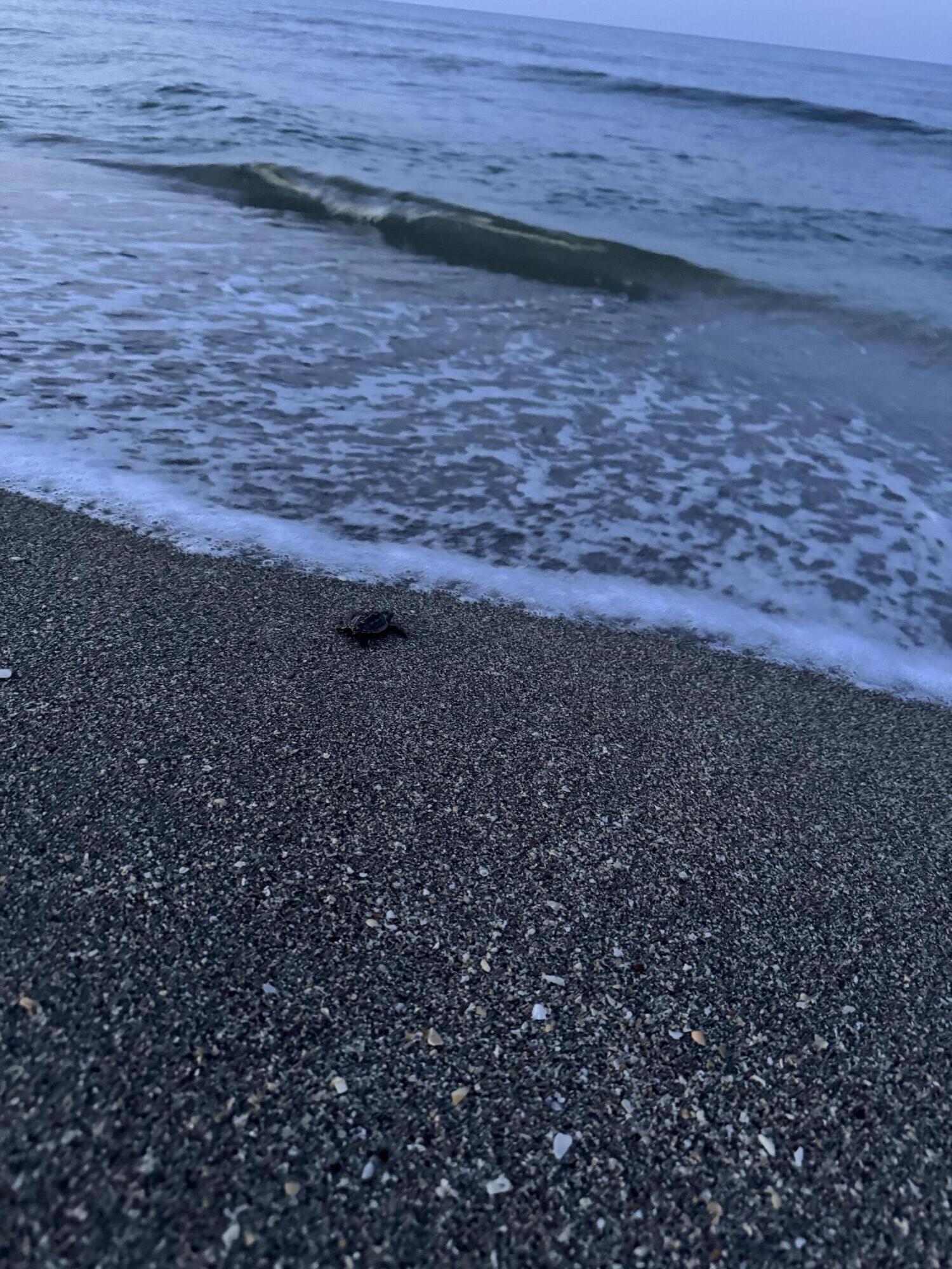 PINECROFT CONDO - Residential