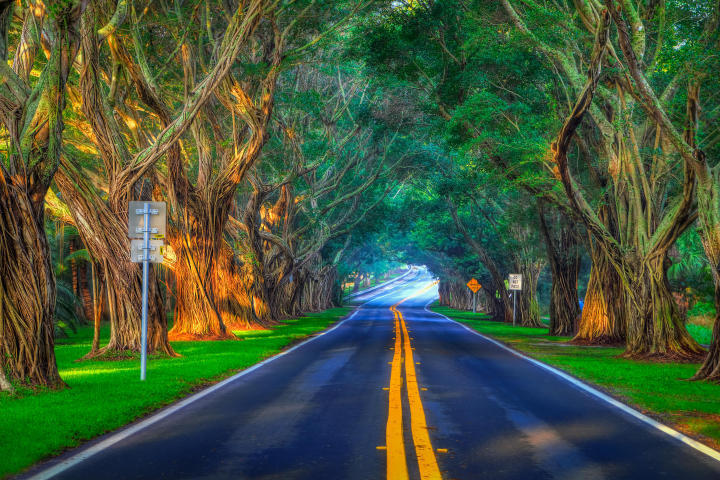 TREASURE COVE - Residential