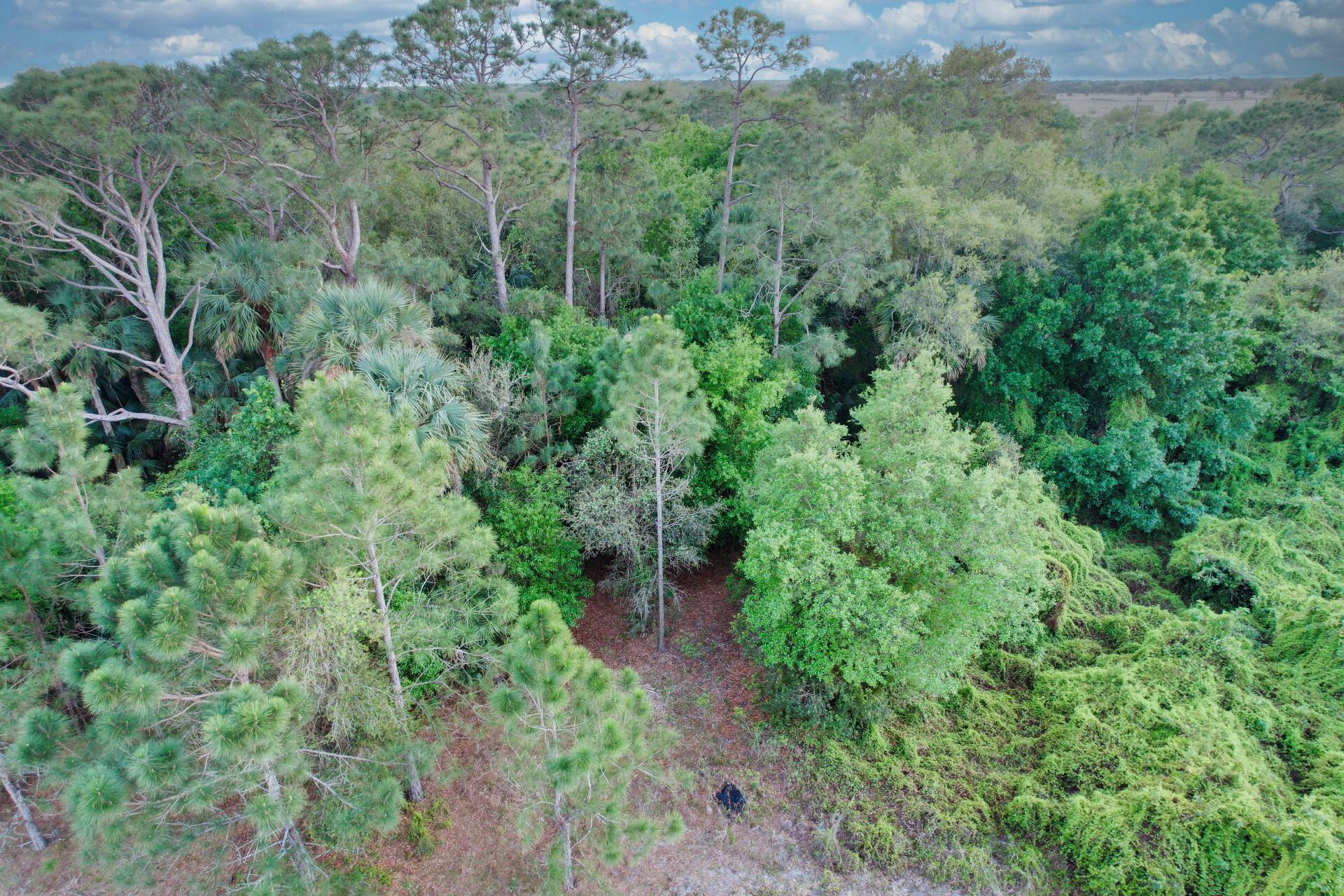 BRIDLEWOOD RANCHES - Land