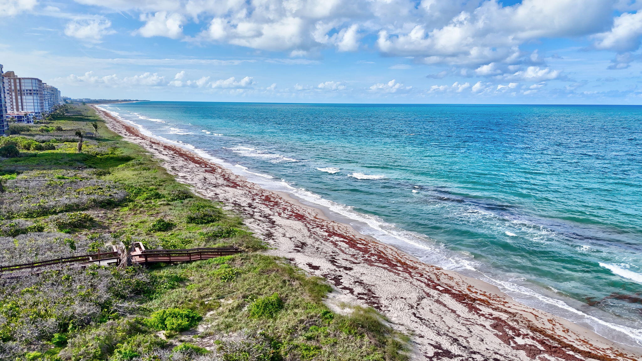 3870 N Highway A1a 805