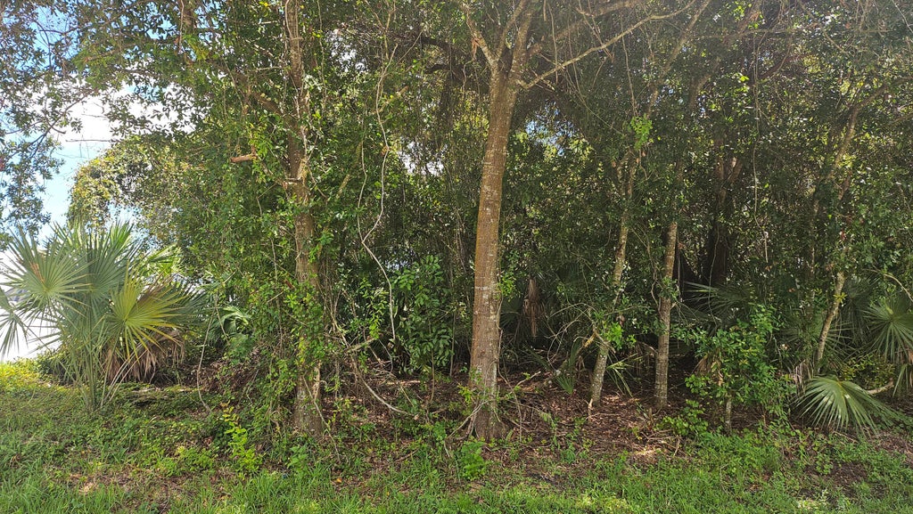 Photo of 1743 SW Day Street, Port Saint Lucie, FL 34953 (MLS # B26074228)