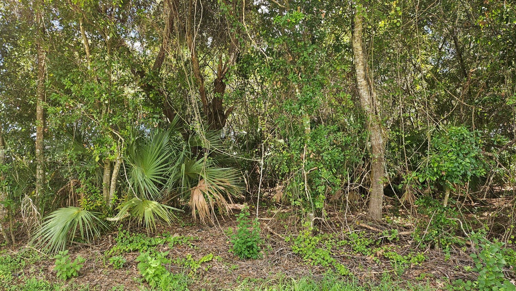 Photo of 1743 SW Day Street, Port Saint Lucie, FL 34953 (MLS # B26074228)