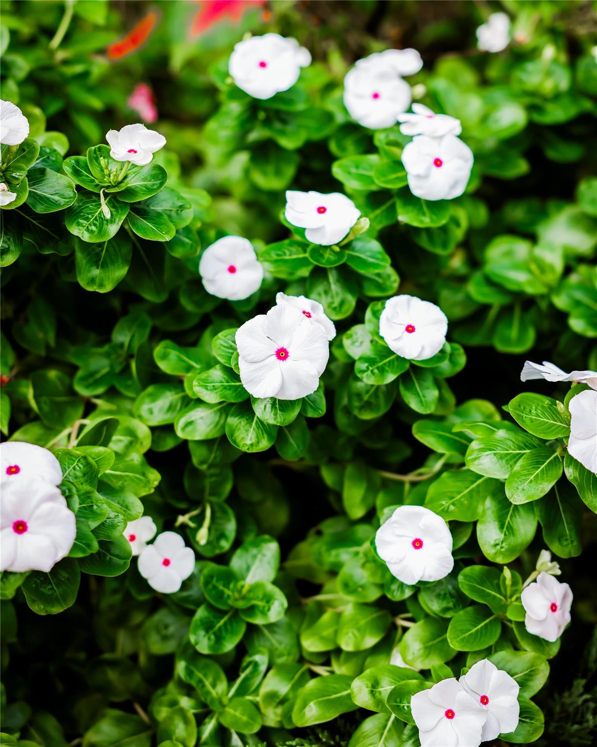 Lakeside 23-38 B - Residential Income