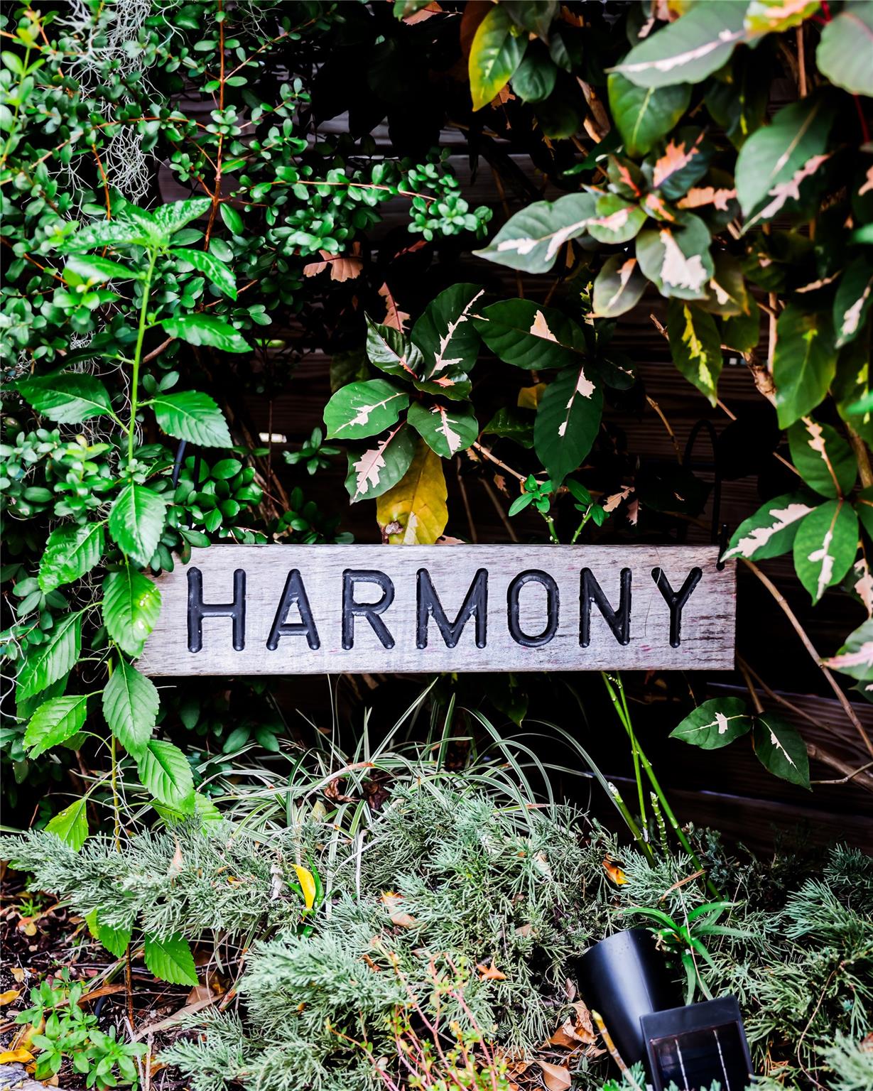 Lakeside 23-38 B - Residential Income