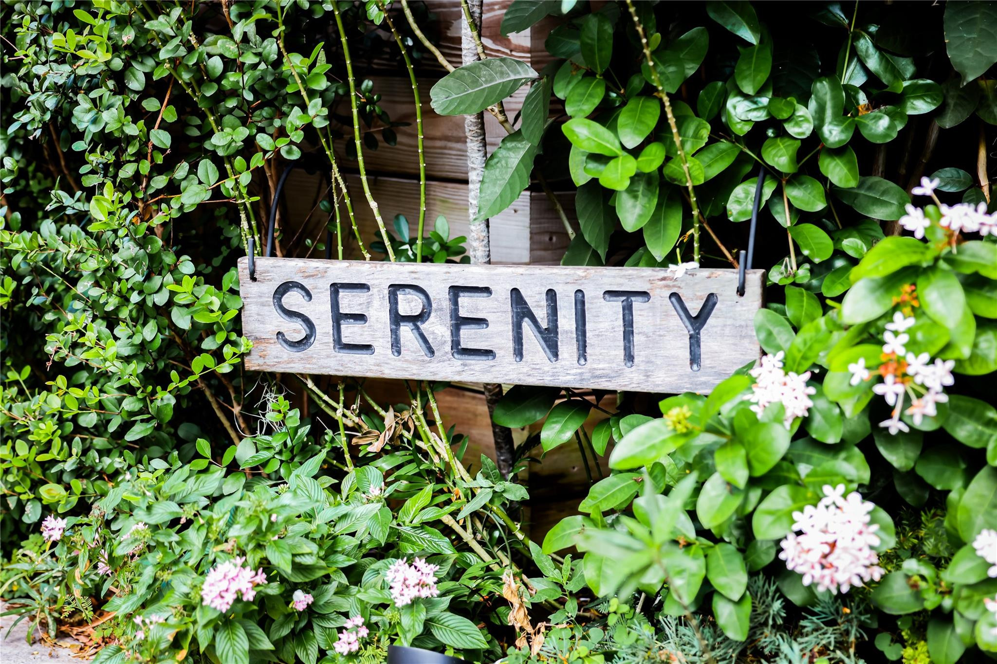 Lakeside 23-38 B - Residential Income