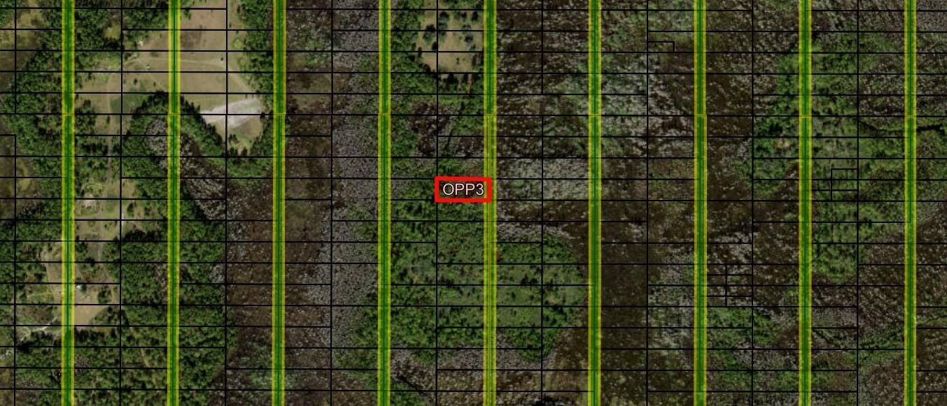 Opp3 Orlando Pines - Land