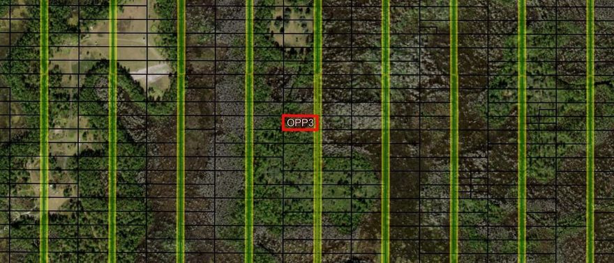 CAMP HUNT RIDE off Old Grade Road in Polk City, FL. This private one acre lot is a blank canvas for your recreational and/or agricultural ventures. Take advantage of our owner financing with only $1,500 down and no closing costs. Superb hutingOwner financing available