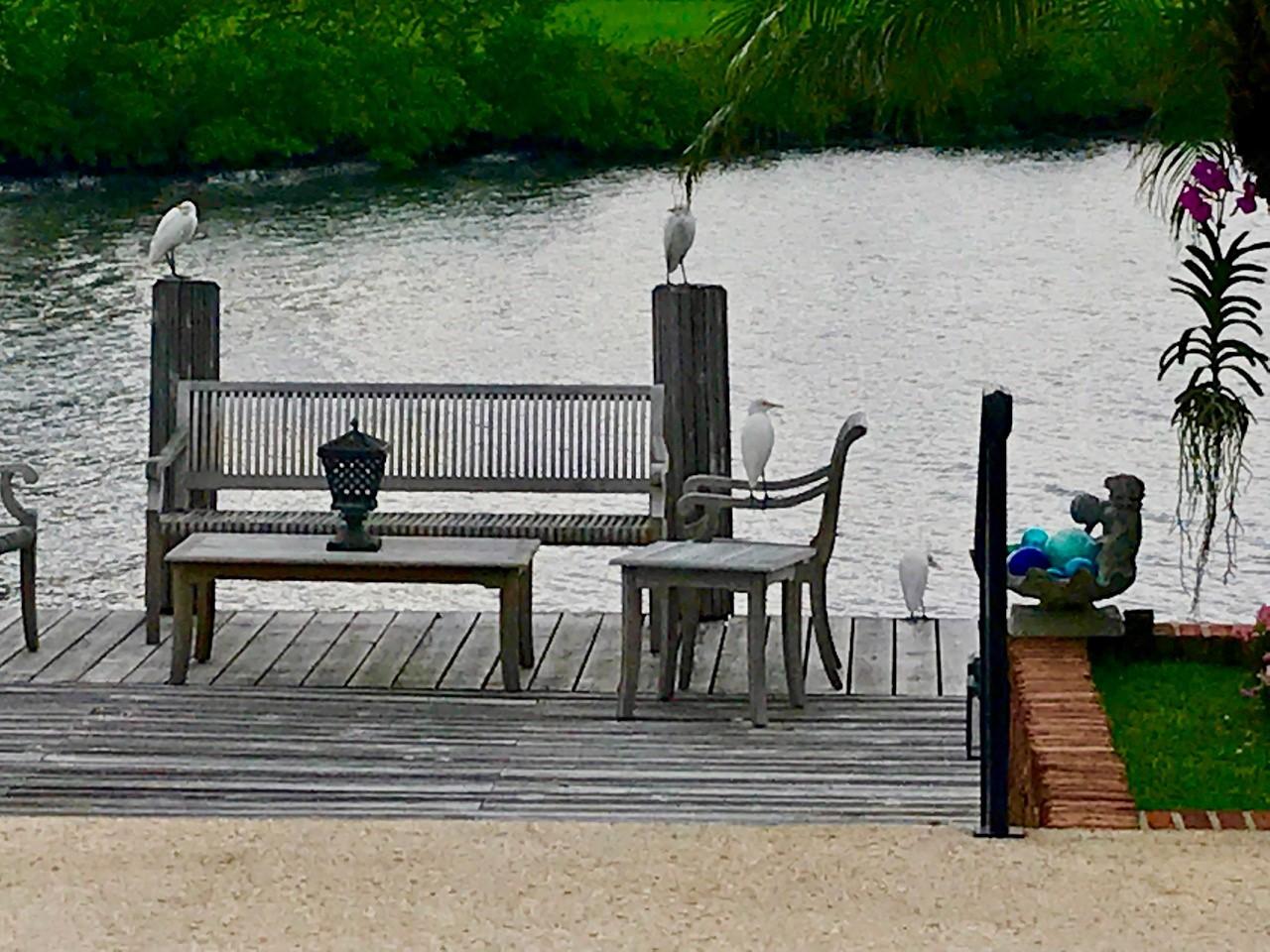 EVERGLADES ISLAND PL 3 IN - Residential