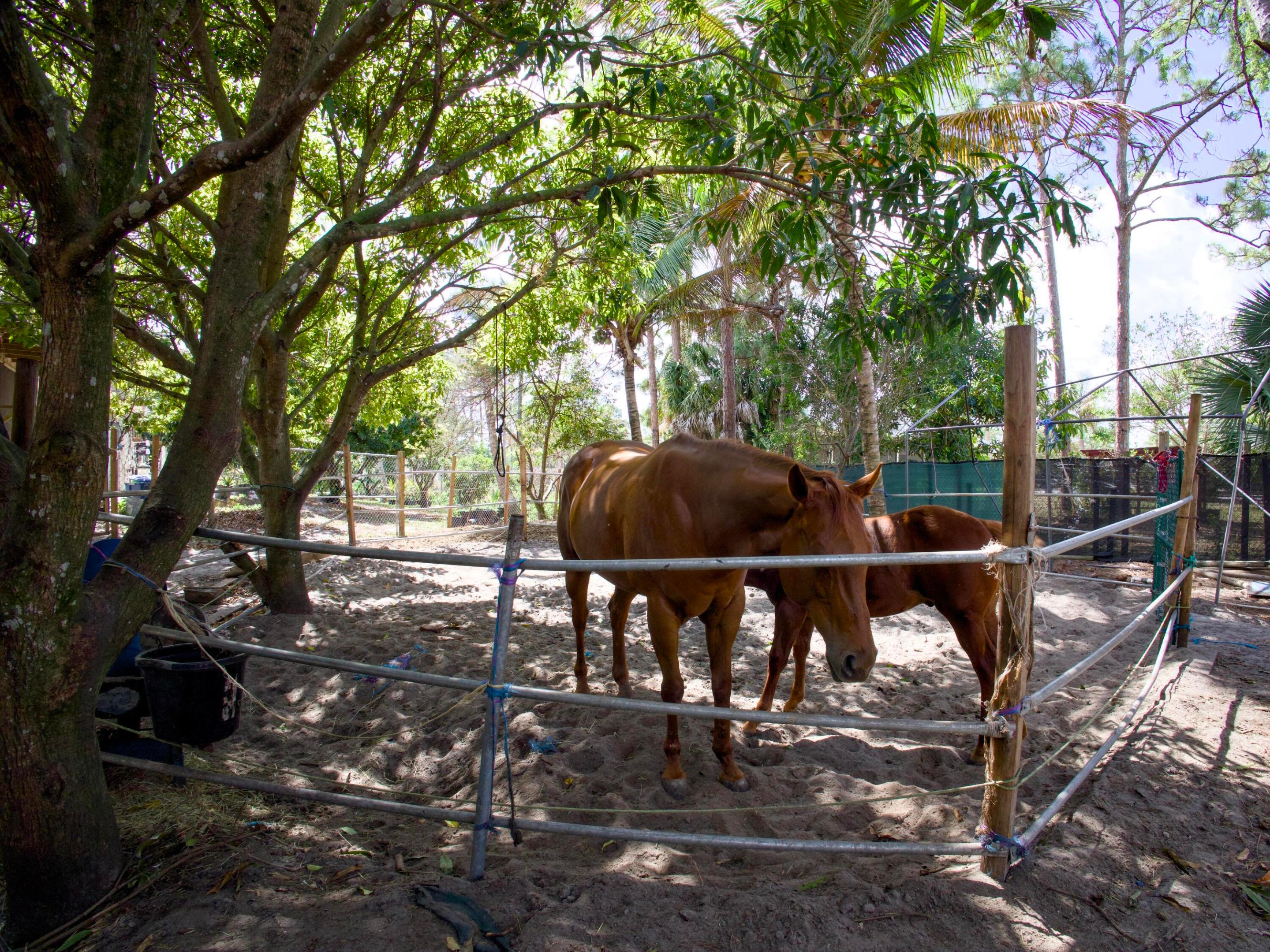 Acreage - Residential