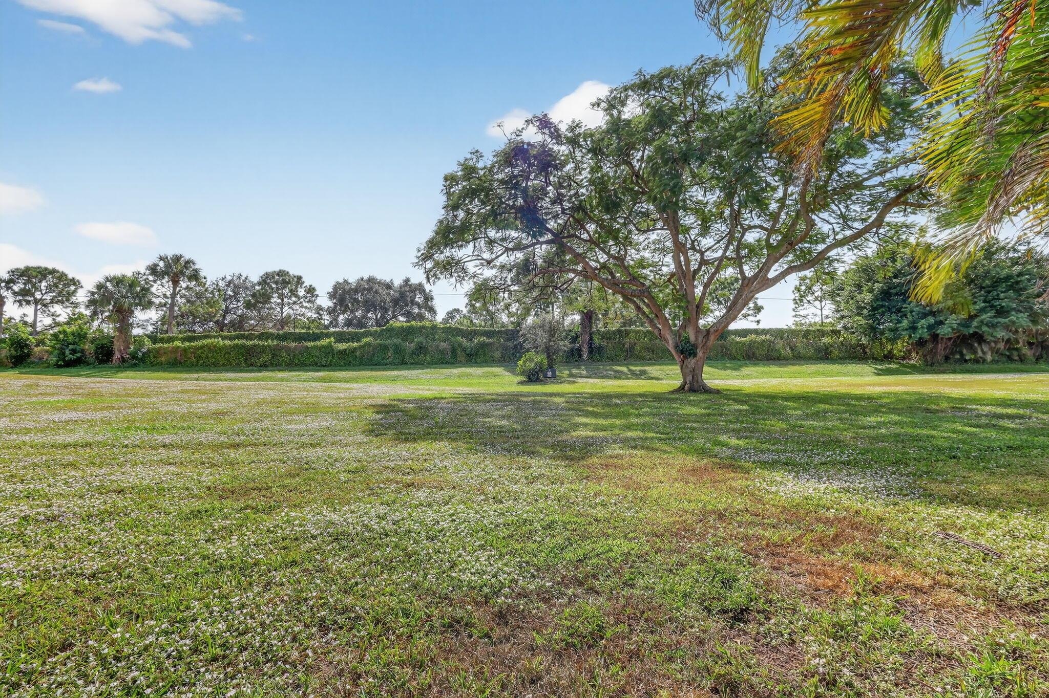 LEXINGTON CLUB - Residential