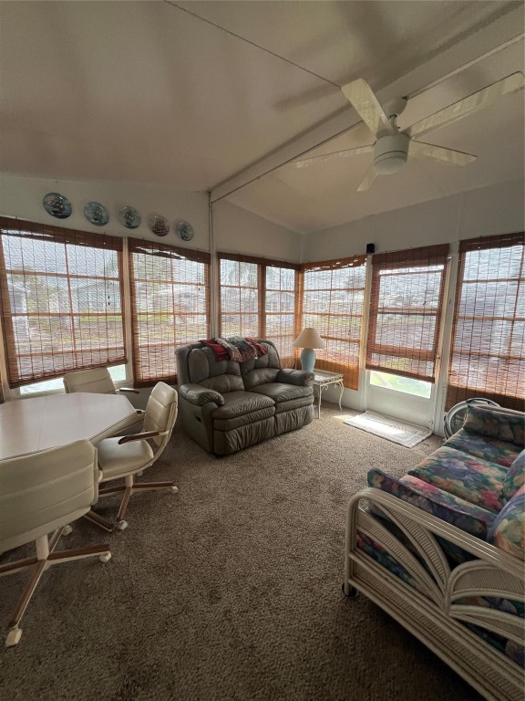 Turtle Cove RV Condo - Residential