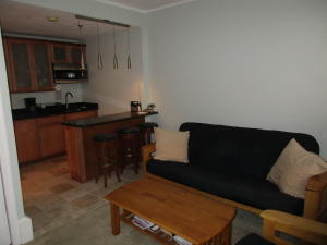 PALM BEACH HOTEL COND DECL 2-12-81 - Residential Lease