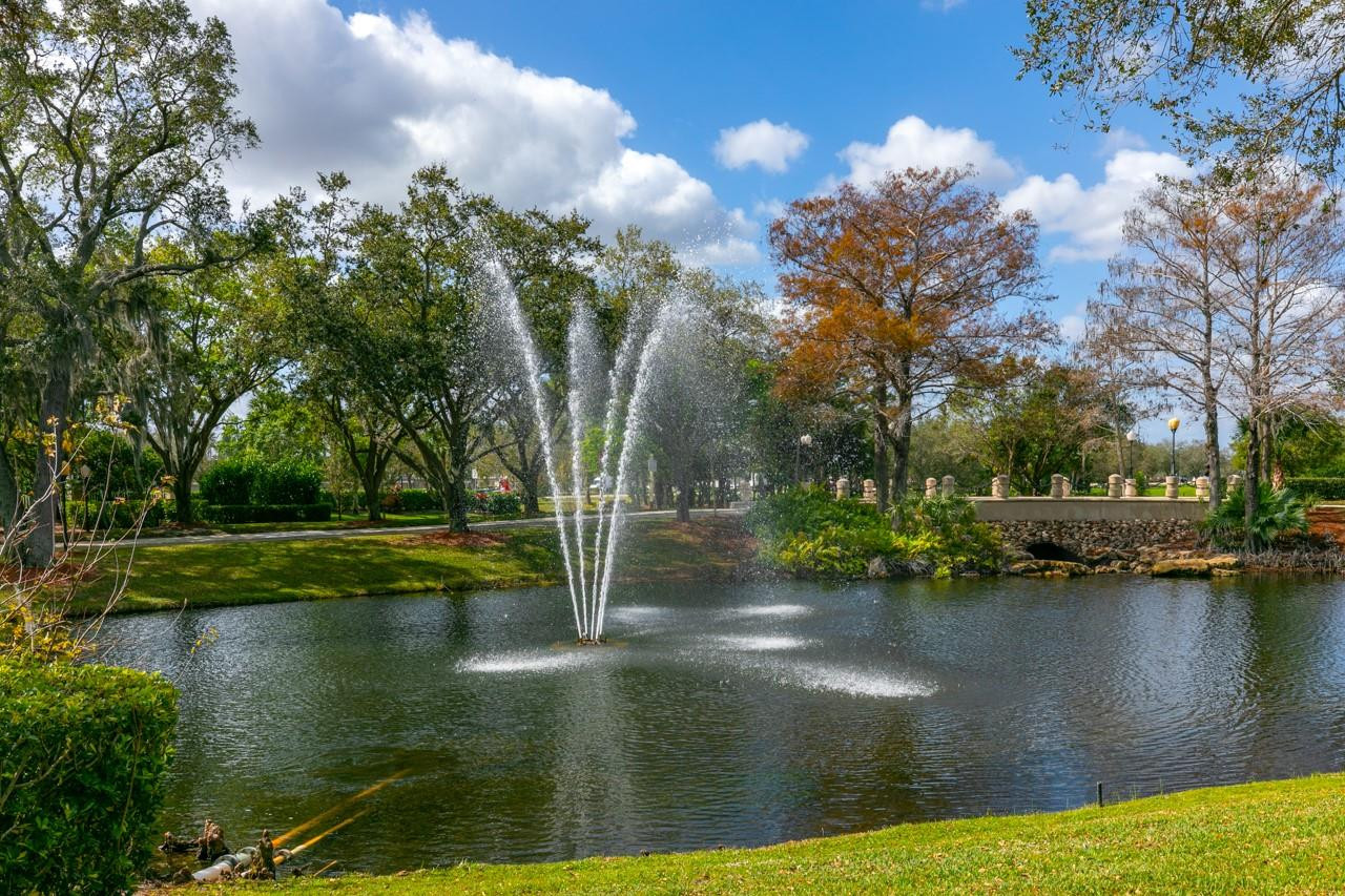 Meadows Prcl 61 & 61a - Residential